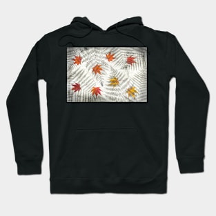 Acer and fern leaf abstract Hoodie